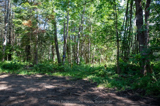 1137 Blackmore Road, Bracebridge