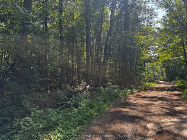 Kirk Line, Bracebridge
