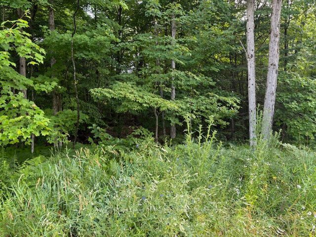 60 Summer Leigh Trail, Huntsville