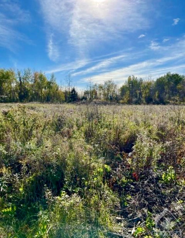 25 Honey Bee Grove, Stittsville - Munster - Richmond