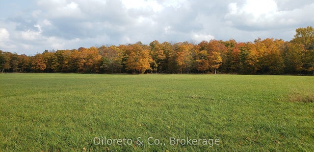 Lot 21 Cape Chin North Road, Northern Bruce Peninsula