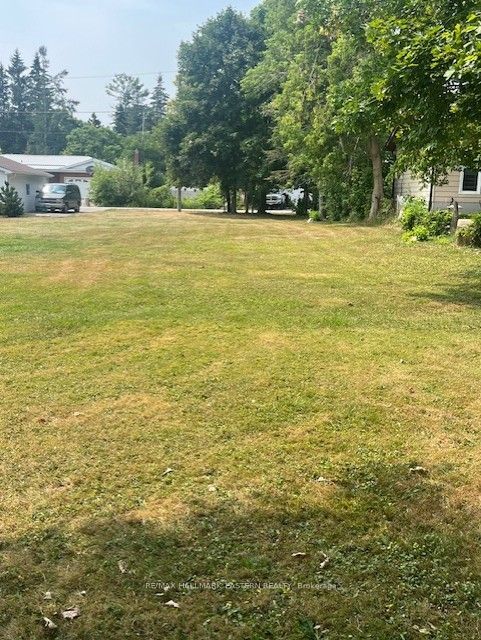 10 Alma Street N, Kawartha Lakes