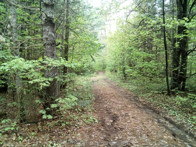 1590 Yearley Road, Huntsville