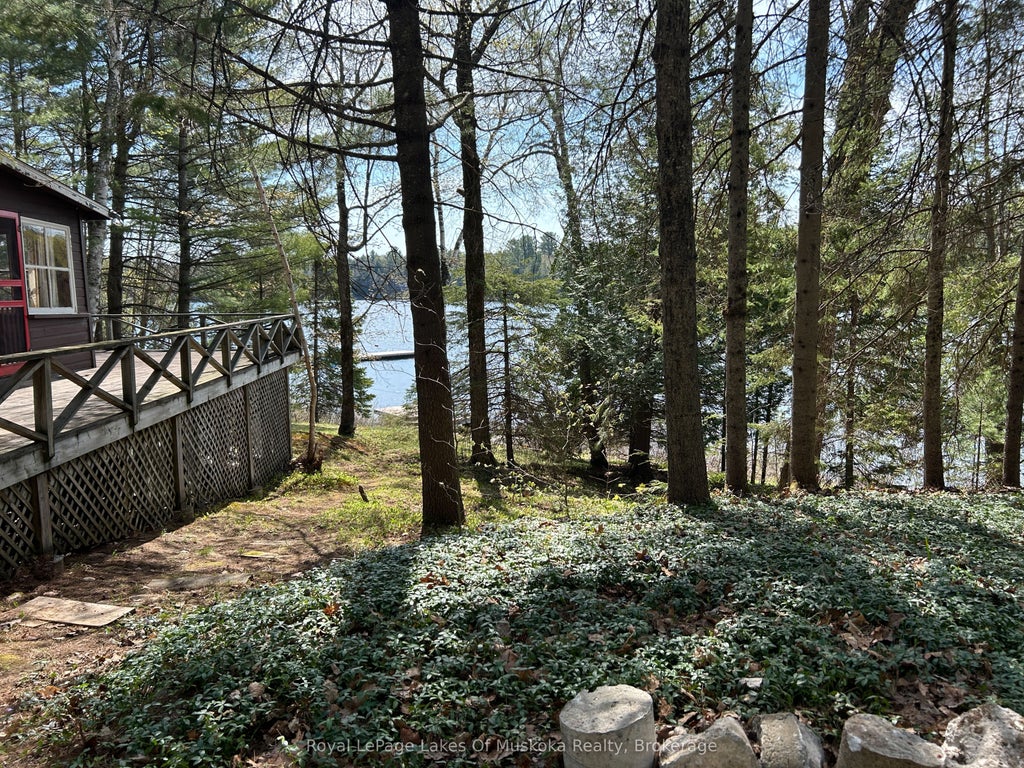 1091 North Tooke Lake Road, Lake of Bays