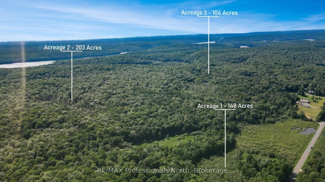 Buckslide Road, Algonquin Highlands