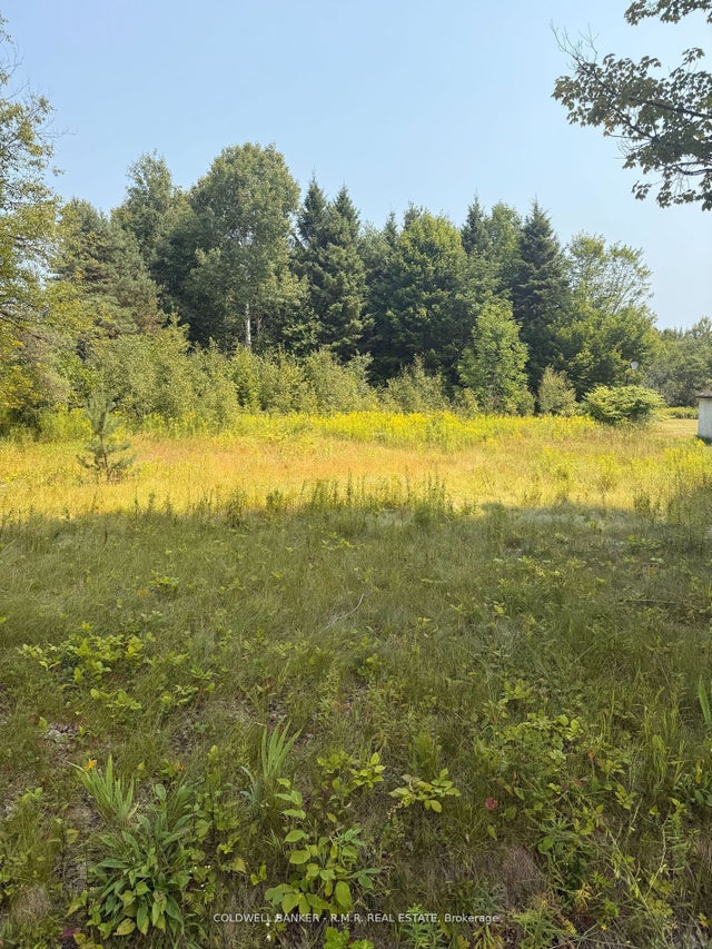 3995 Boulter Road, Hastings Highlands