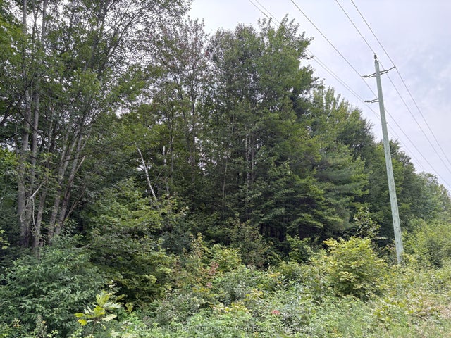 Hemlock Road, Powassan