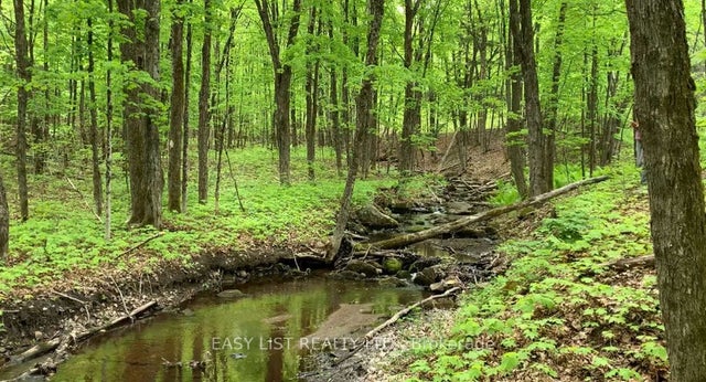 Lot 1 Colonial Road, Minden Hills