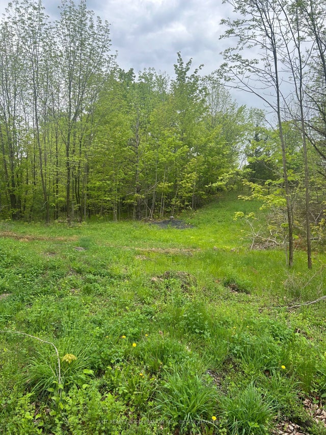 Bradshaw Road, Frontenac
