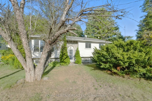 45 Maplewood Avenue, Brighton
