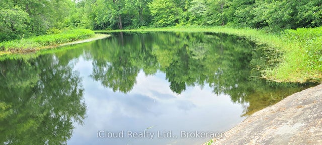 788 Courneya Road, Tweed