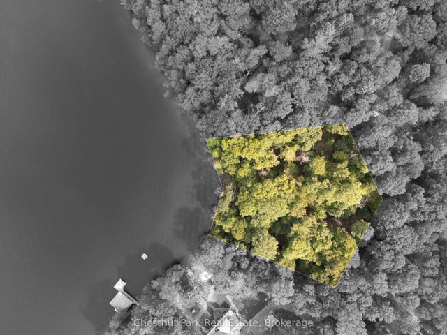 300 Bigwin Island, Lake of Bays