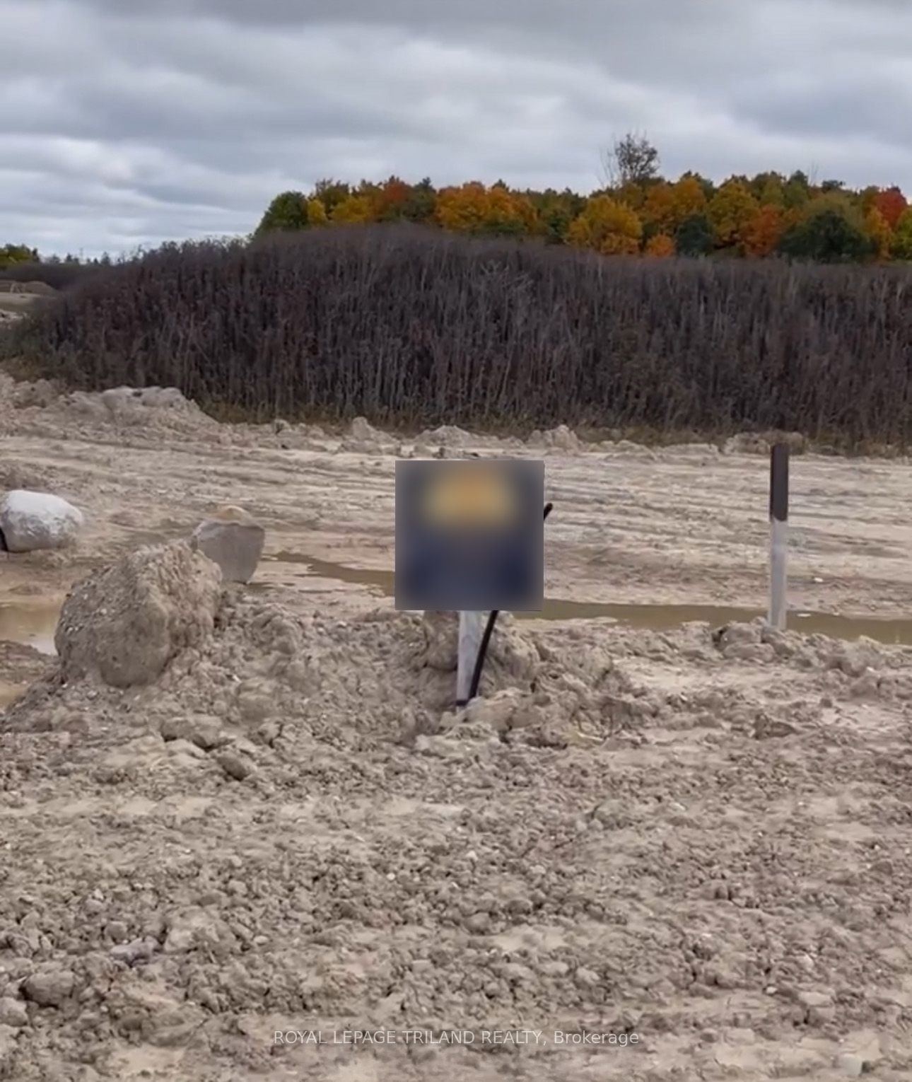 Photo of Listing #X12381138