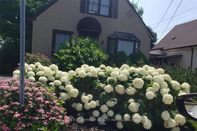 251 East 31st Street, Hamilton