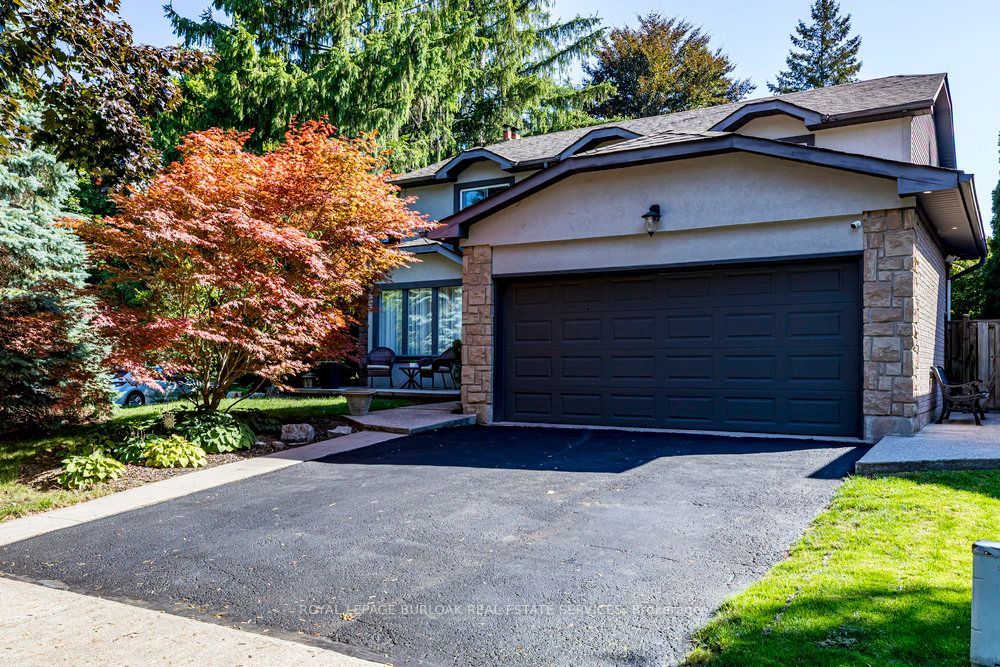 19 Fieldgate Street, Hamilton