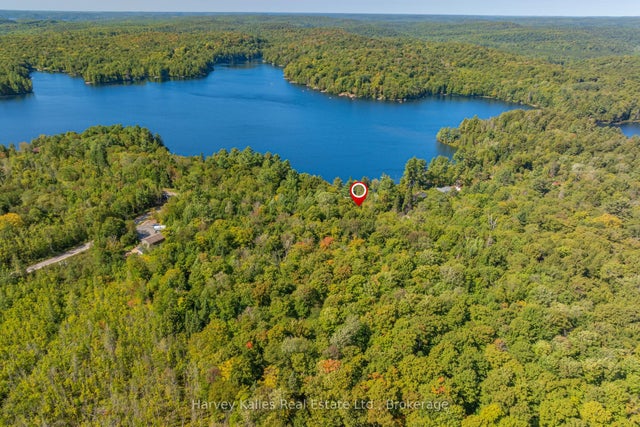 East Walker Lake Road, Lake of Bays