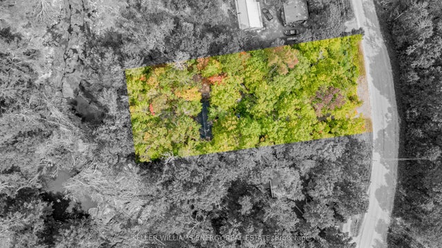260 Edwina Drive, Trent Lakes