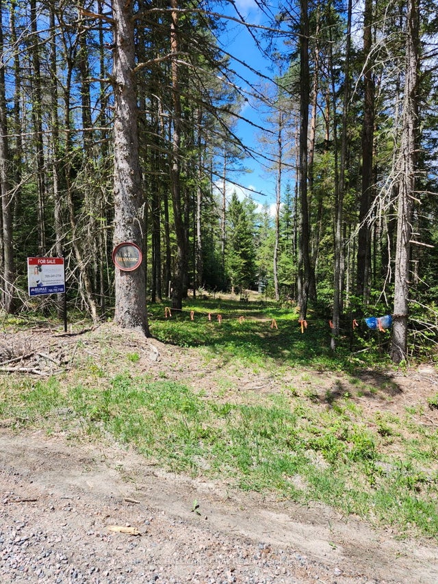 Pt Lots 24 & 25 Con 5 Concession, Ryerson