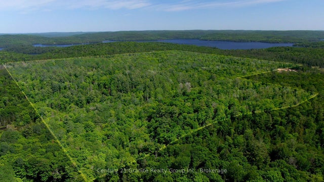 Haliburton Lake Road, Dysart et al