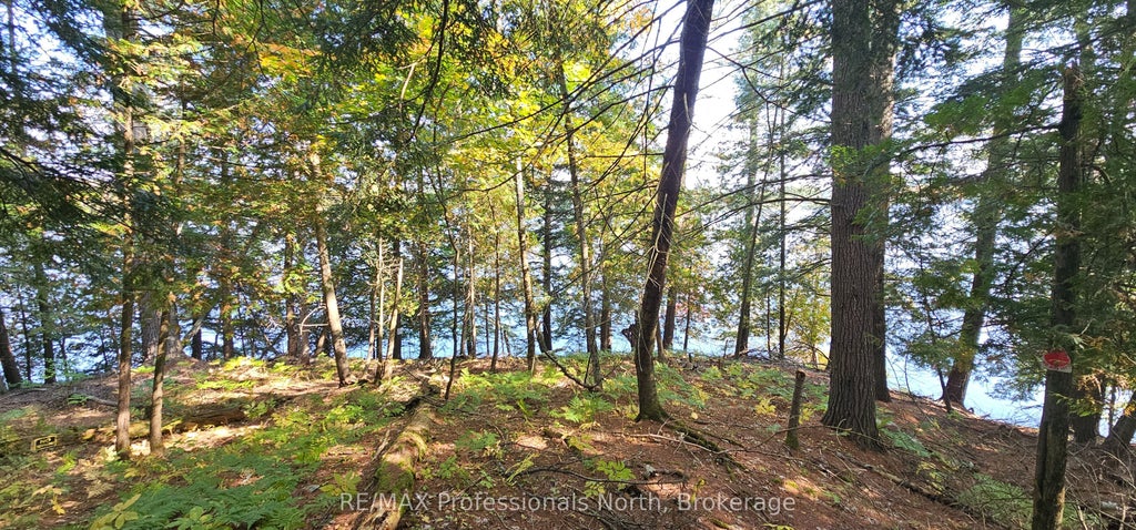 416 Swallowdale Road, Huntsville