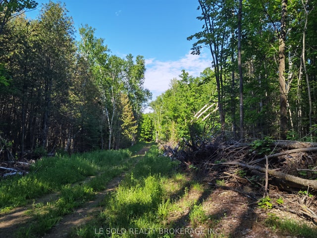 199 Hoffman Road, Bonnechere Valley