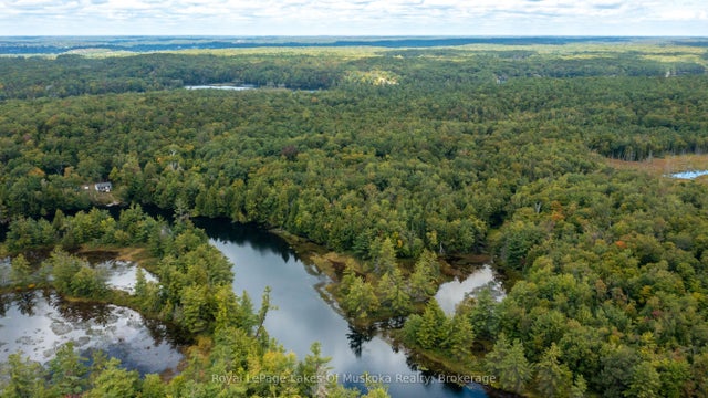 Muskoka River N/a, Bracebridge