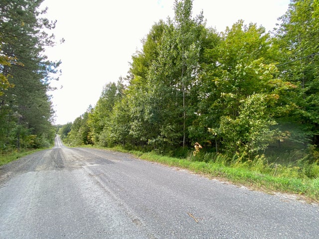 Clear Lake Road N, Parry Sound Remote Area
