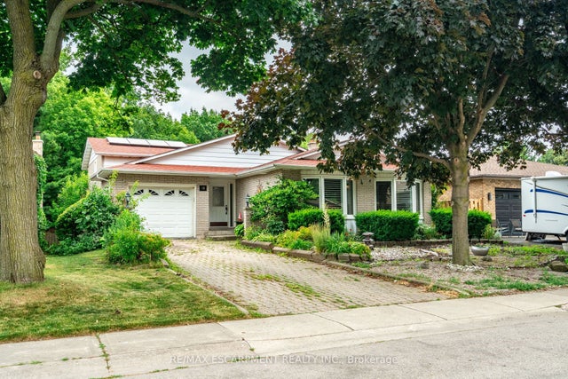16 Flamingo Drive, Hamilton