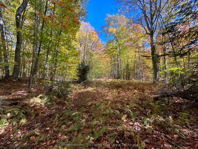 833 Hamilton Lake Road, Machar