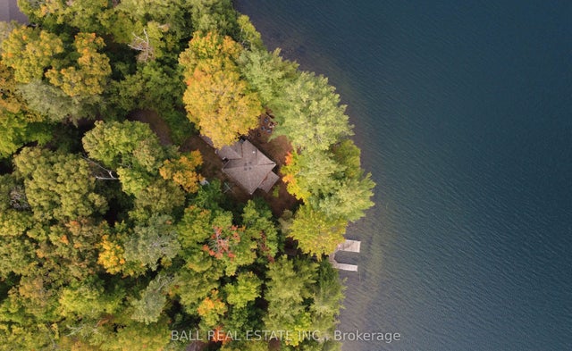 551 Renwick Road, North Kawartha