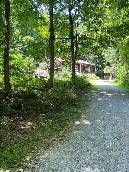 119 Acorn Road, Kawartha Lakes