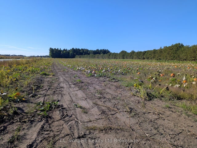 7343 Plank Road, Bayham