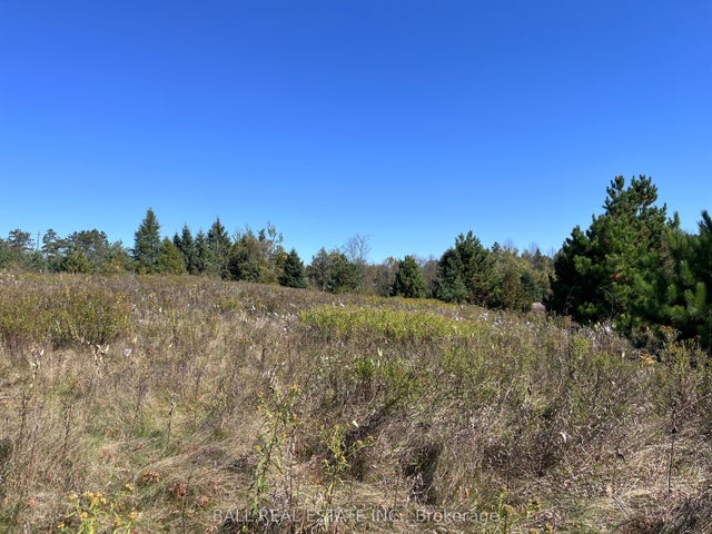 Koa Road, Marmora and Lake