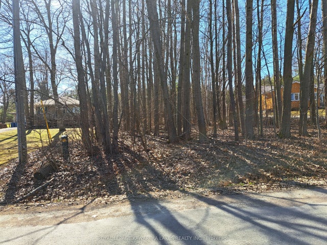Poplar Drive, Hamilton Township