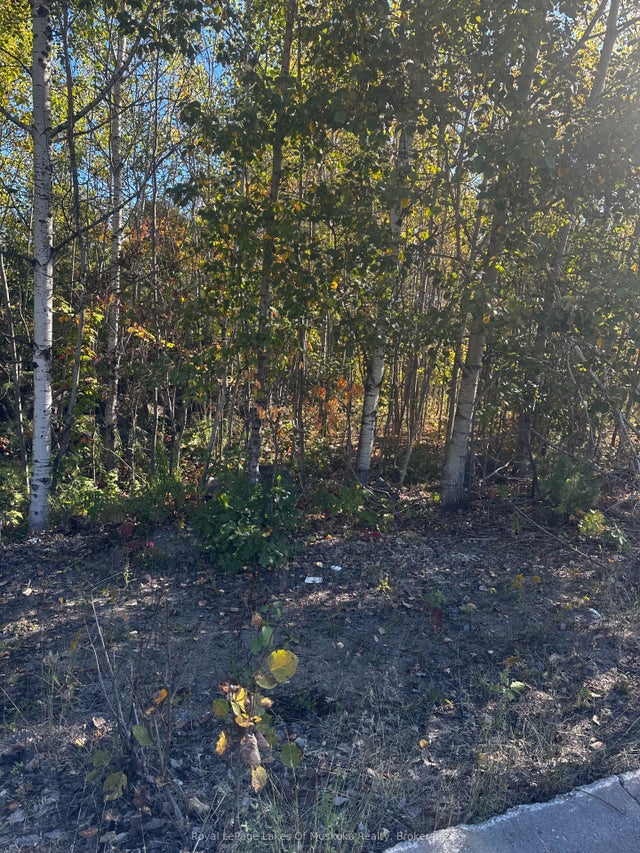 23 Freeland Drive, Gravenhurst