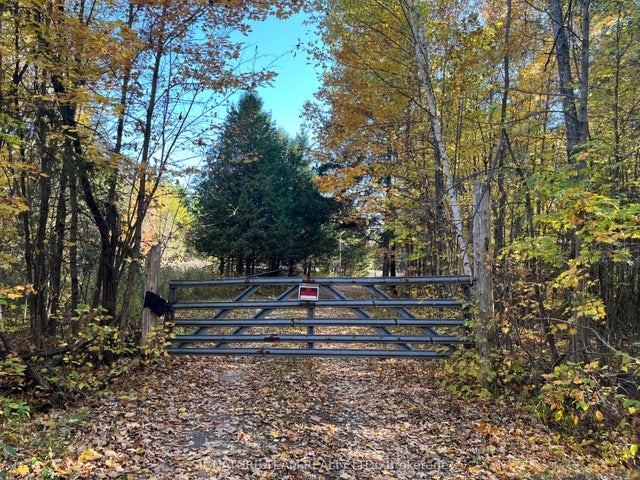 Minnie Road, Bonnechere Valley
