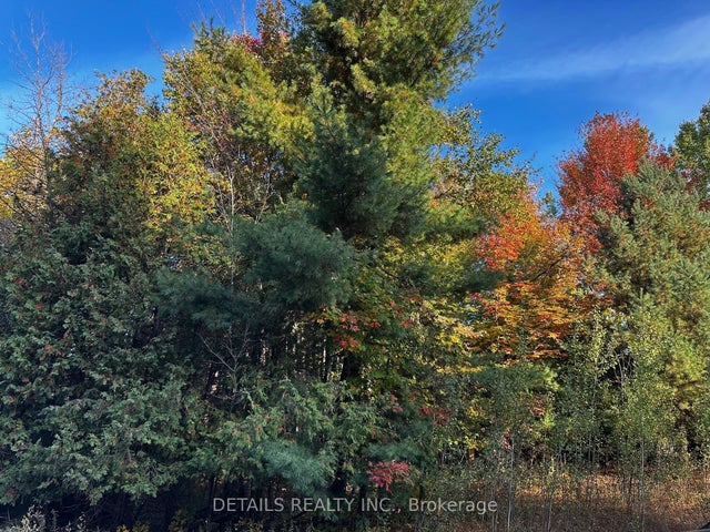 515 Vances Side Road N, Constance Bay - Dunrobin - Kilmaurs - Woodlawn