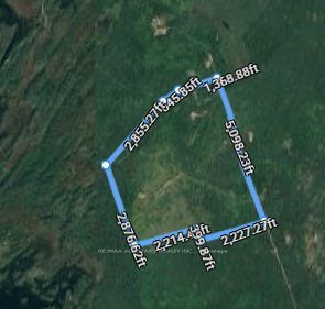 2418 Ledge Road, Trent Lakes