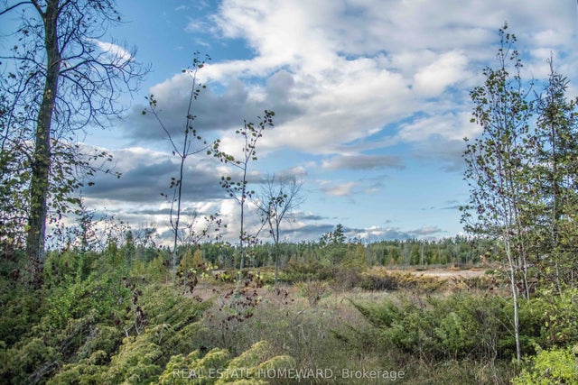 Lot 254 Mcguire Beach Road, Kawartha Lakes