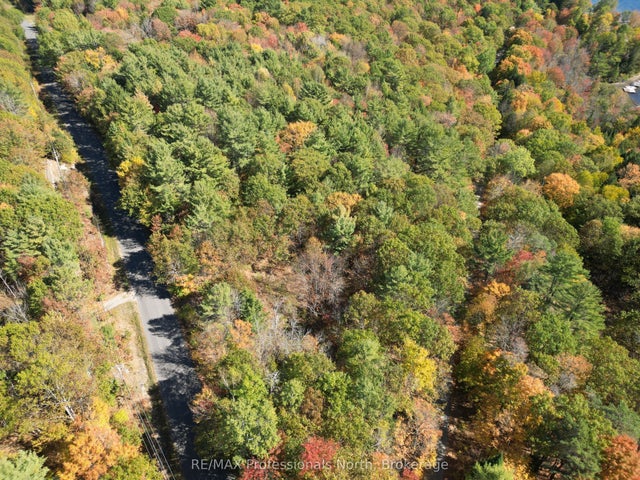 Pt Lt 7 Con 3 Buckslide Road, Algonquin Highlands