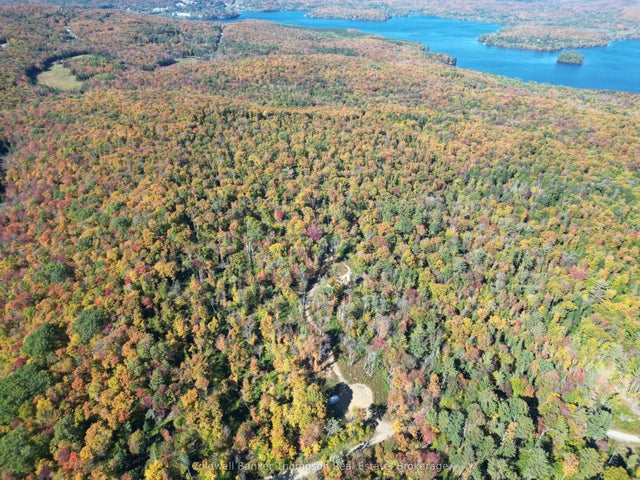 Lt 29 Con 11 Franklin; Lake Of Bays, The District Municipality Of Muskoka N/a, Lake of Bays