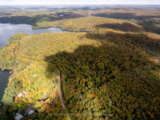 N/a Skyline Drive, Armour