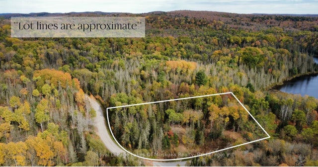 Forest Lake Road, Joly