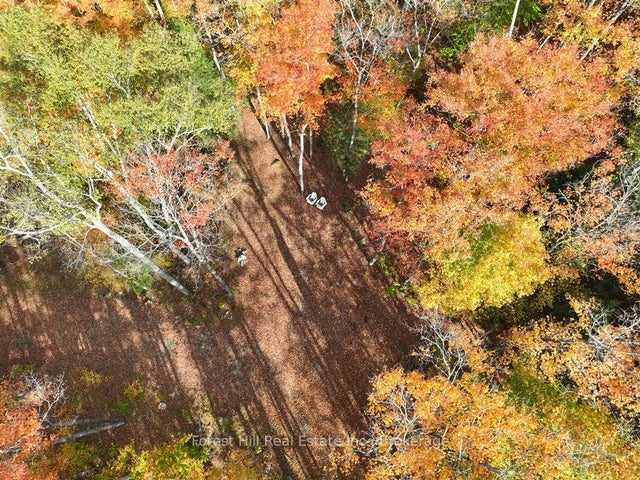 4488 Kawagama Lake Road, Algonquin Highlands