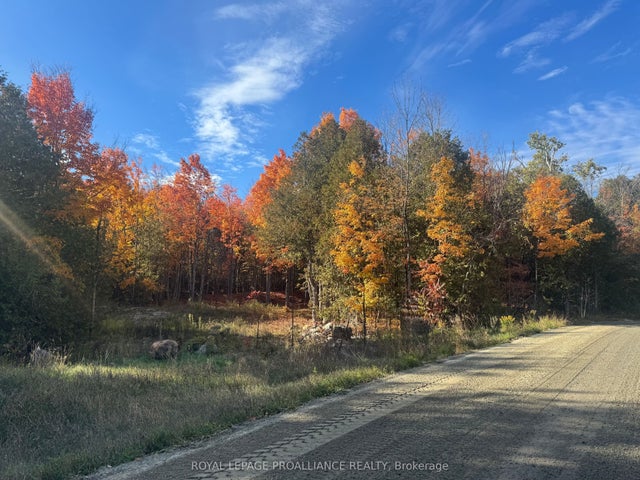 Lot 2 Vansickle Road N, Havelock-Belmont-Methuen