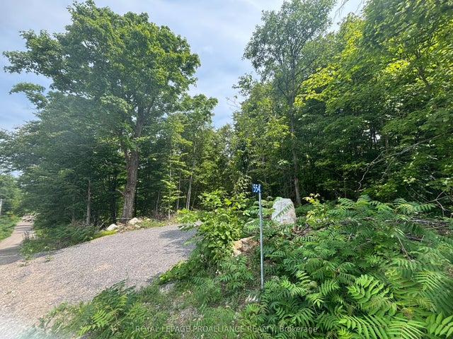 554 Pigden Road Severed B, Madoc