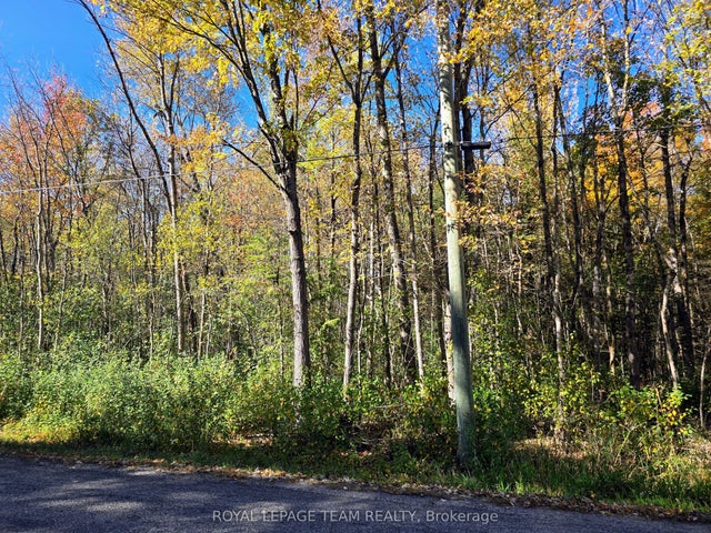 00 Dukelow Road, Edwardsburgh/Cardinal