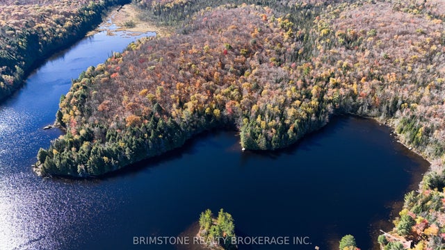 Row Over 1741 Paint Lake Rd Road, Lake of Bays