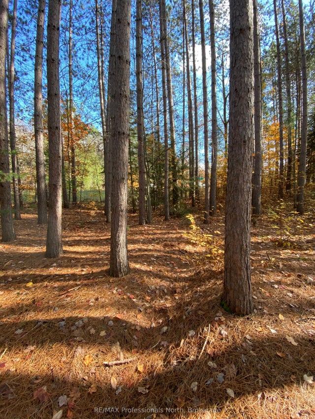 Maebar Road, Minden Hills