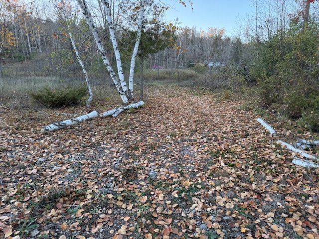 Pt Lt 20 Fire Route 121 N/a, Trent Lakes